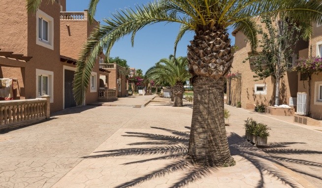 Ciudad Laurel opinie