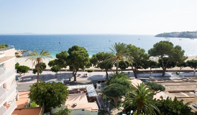 Palia Tropico Playa opinie