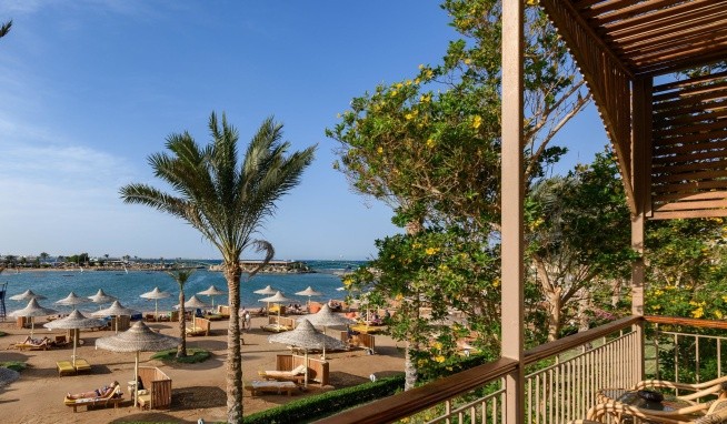 Desert Rose recenzie