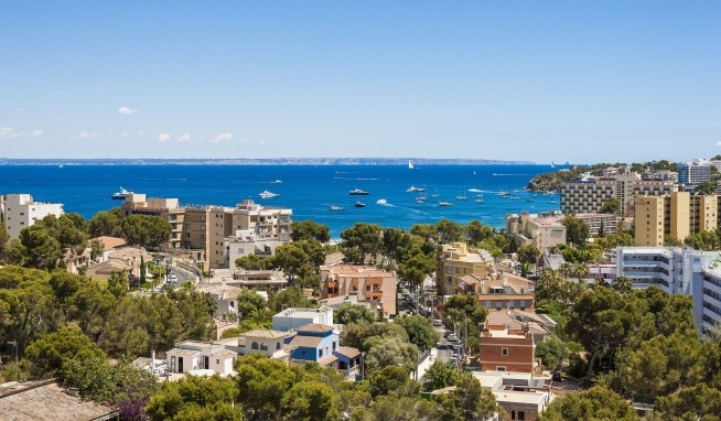 Globales Mimosa recenzie