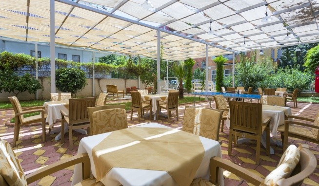 Lonicera City recenzie