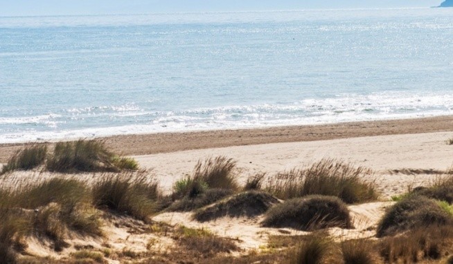 Oasis Blue Pearl recenze