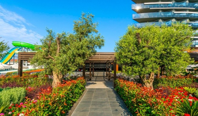 Kirman Calyptus értékelés