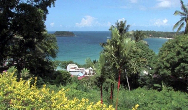 Andaman Cannacia recenze