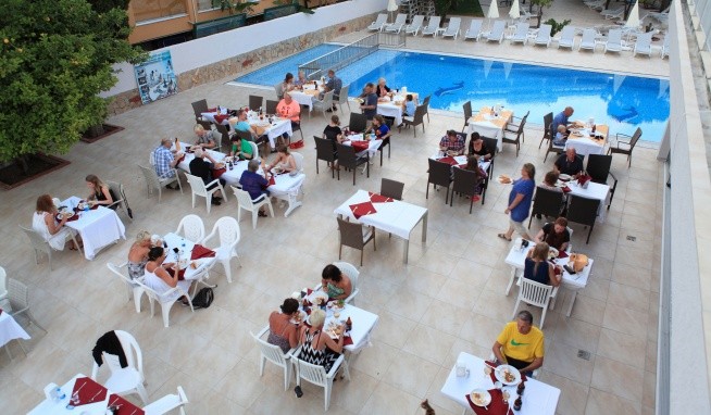 Catty Cats Garden opinie