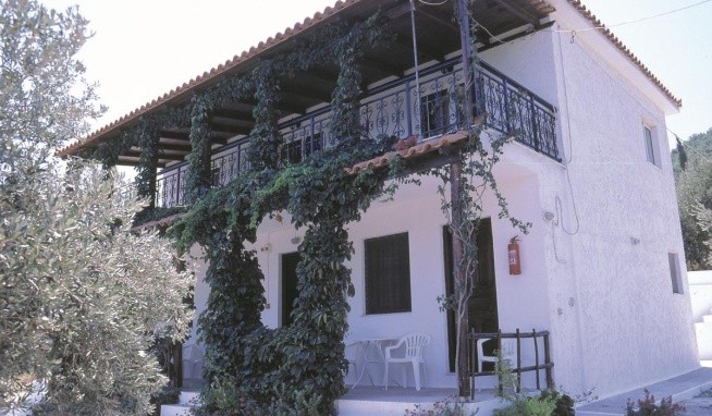 Gregory House recenze