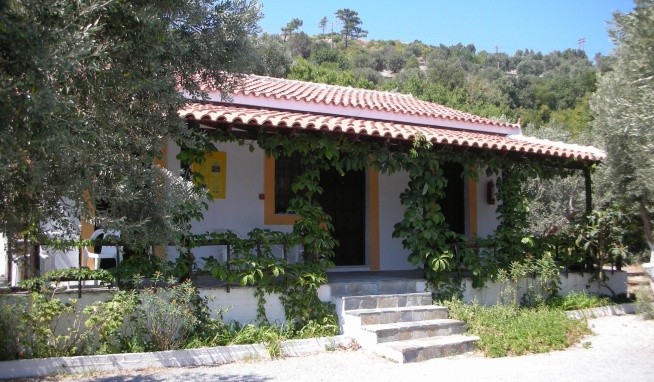 Gregory House recenzie