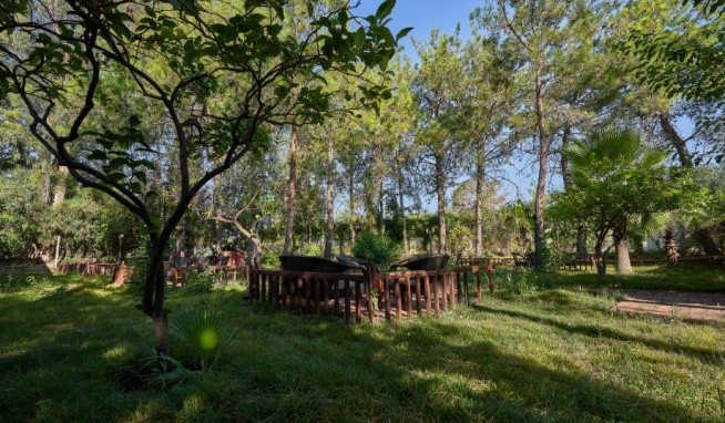 Maya World Golf opinie