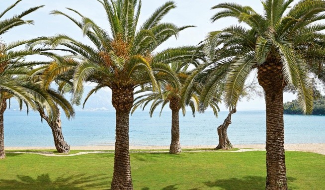 Daphnila Bay Thalasso recenze