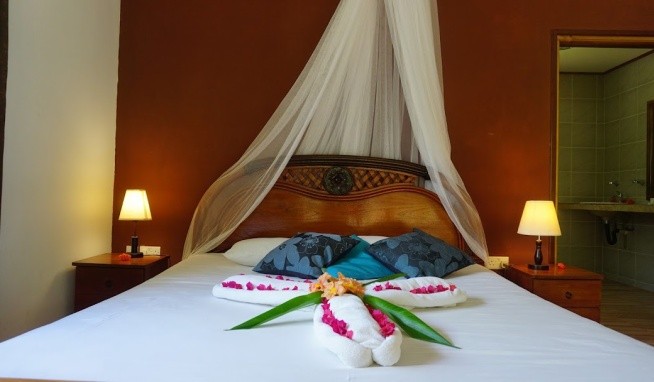 Chalet Bamboo Vert recenze