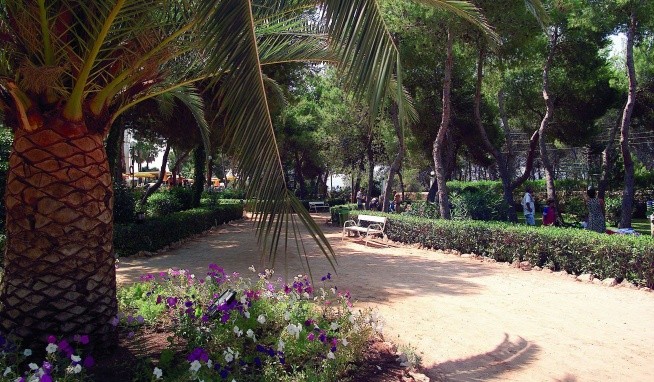 Fiesta Cala Gració recenze