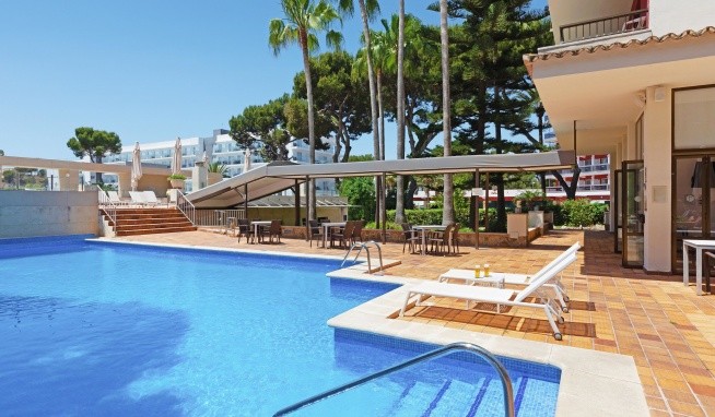 Pabisa Orlando opinie