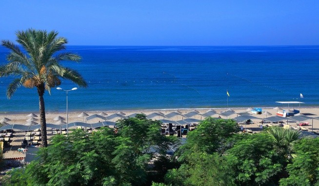 Cactus Paradise opinie