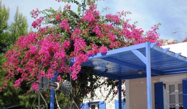 Paradise Resort (Akrotiri) recenze