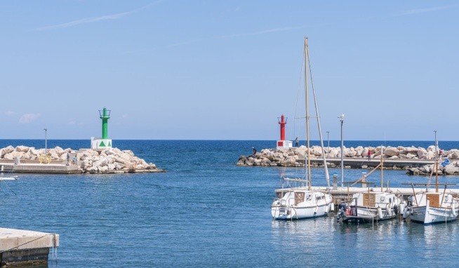 Caprice Lime Isabel opinie