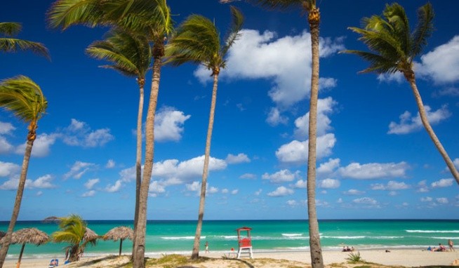 Starfish Cuatro Palmas recenze