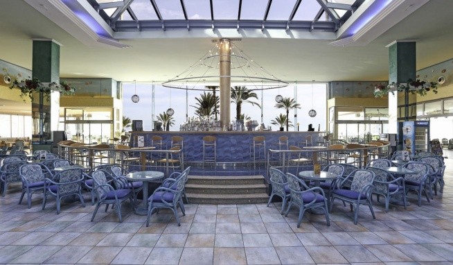 Kaktus Albir recenze