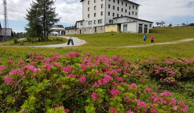 Berghof Tauplitzalm opinie