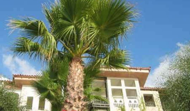 Liberty Hotels Lykia opinie