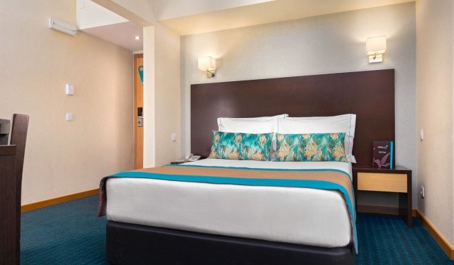 Dom Afonso Henriques opinie