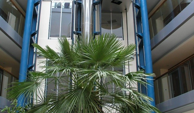 Sol Marina Palace (ex. Marina Palace) recenze