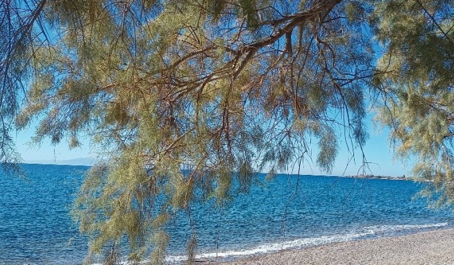 Sappho Beach (Vatera) értékelés