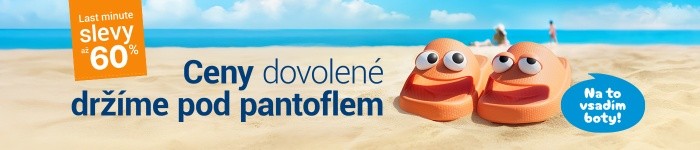Flip & Flop: dva experti jeden cíl