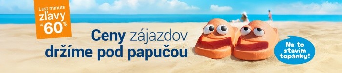 Flip & Flop: dvaja experti jeden cieľ