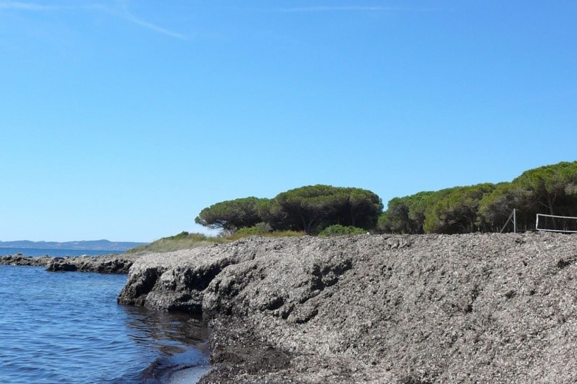 Hotel Marina Seada Beach, Taliansko Sardínia / Sardegna - 702 € Invia