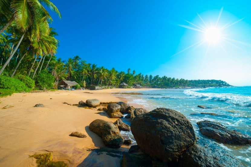 homokos tengerpart pálmafák tenger Srí Lanka