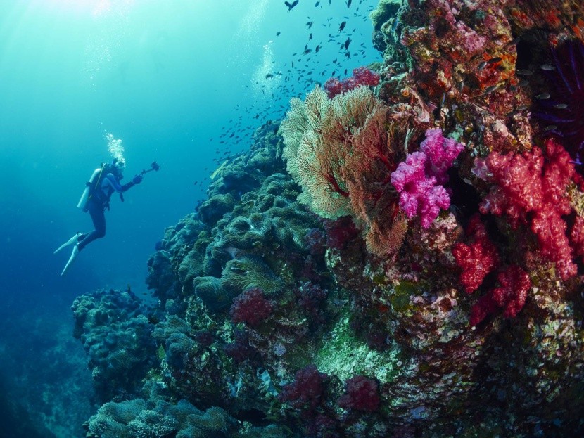 Potápění na Phuketu