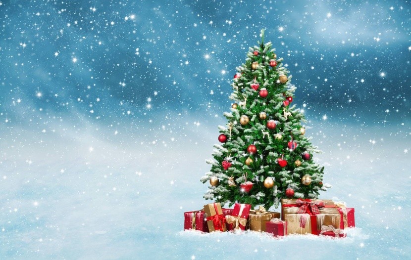 Ozdobený stromek je pro nás symbolem Vánoc