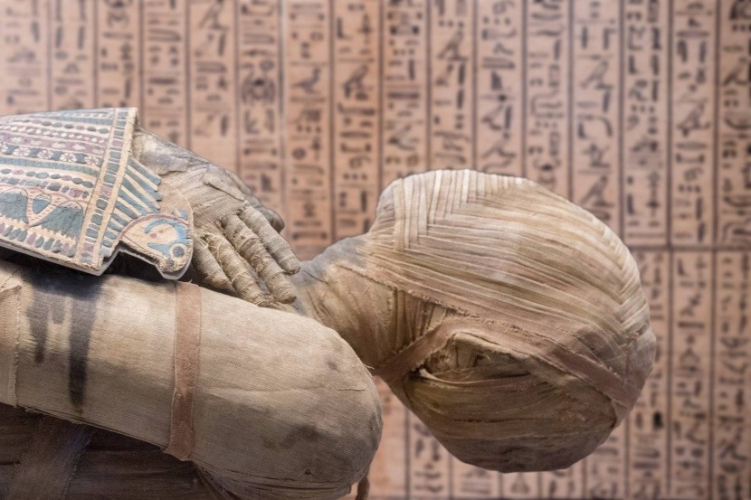 Egyptská mumie