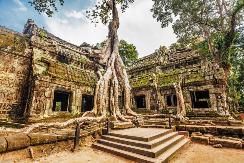 Chrám Ta Prohm