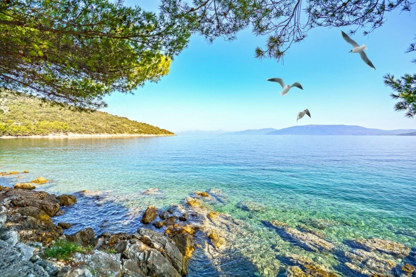 Ostrov Cres, Chorvatsko