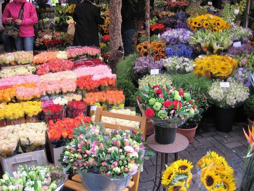 Květinový trh v Amsterdamu