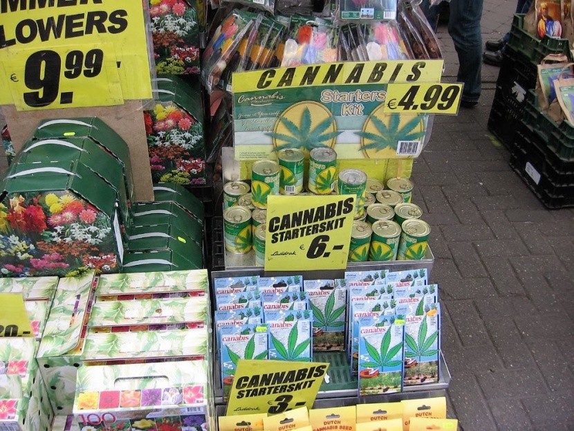 marihuána termesztés virágbolt Amszterdam
