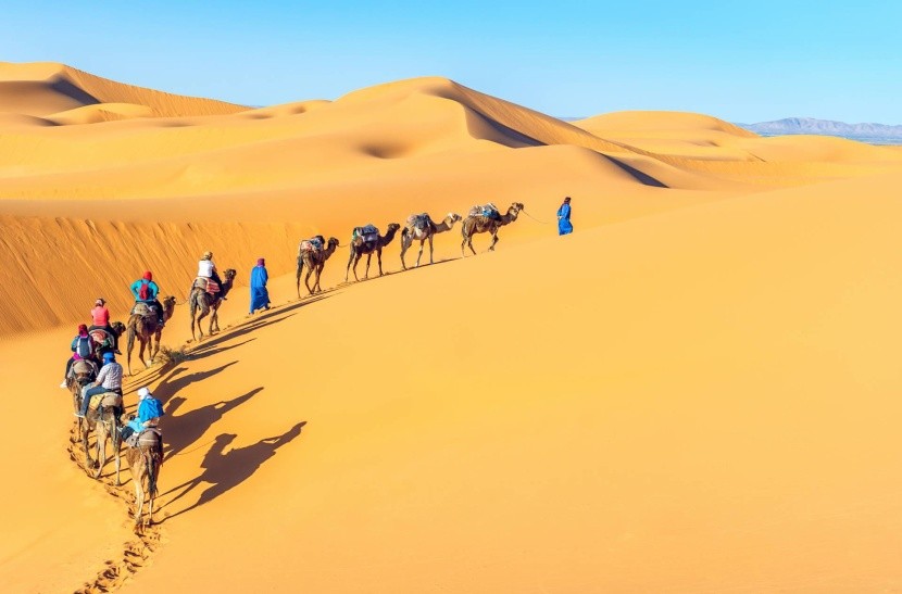 Tevekaraván a Szaharában homok sivatag