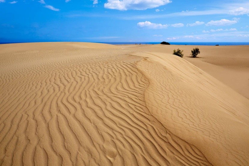 Písečné duny v Corraleju