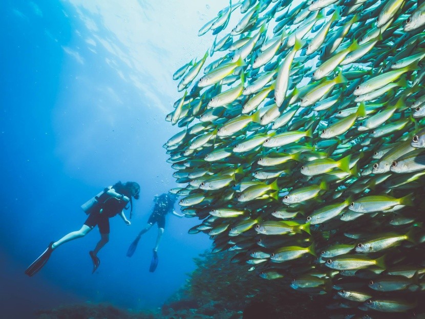 Potápění v Andamanském moři