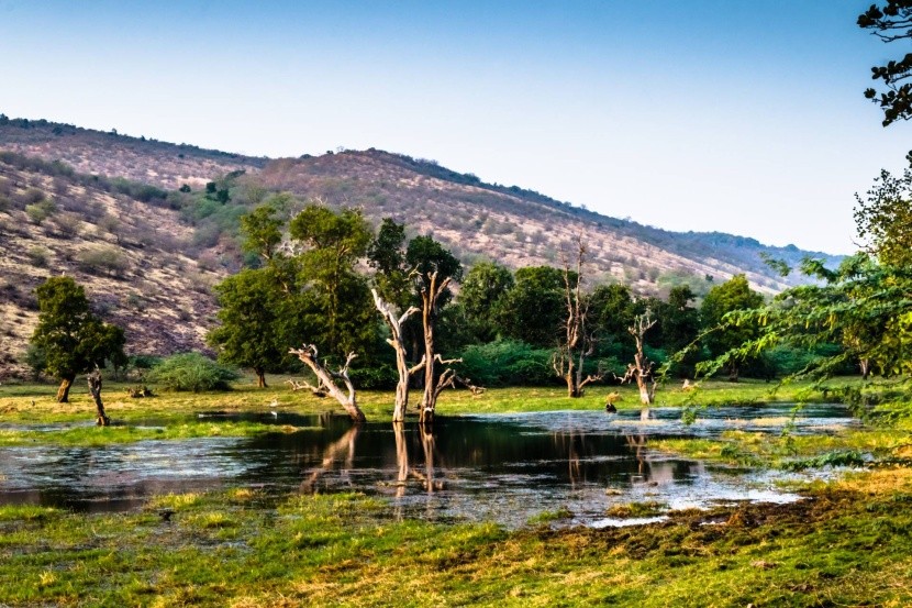 Národný park Ranthambore v Indii