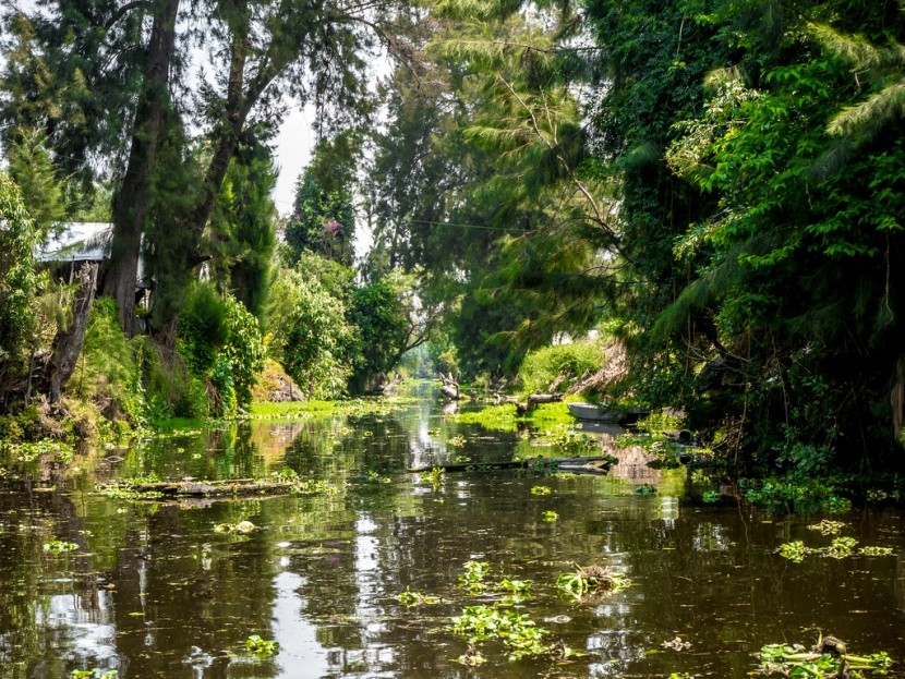 Kanál v oblasti Xochimilco