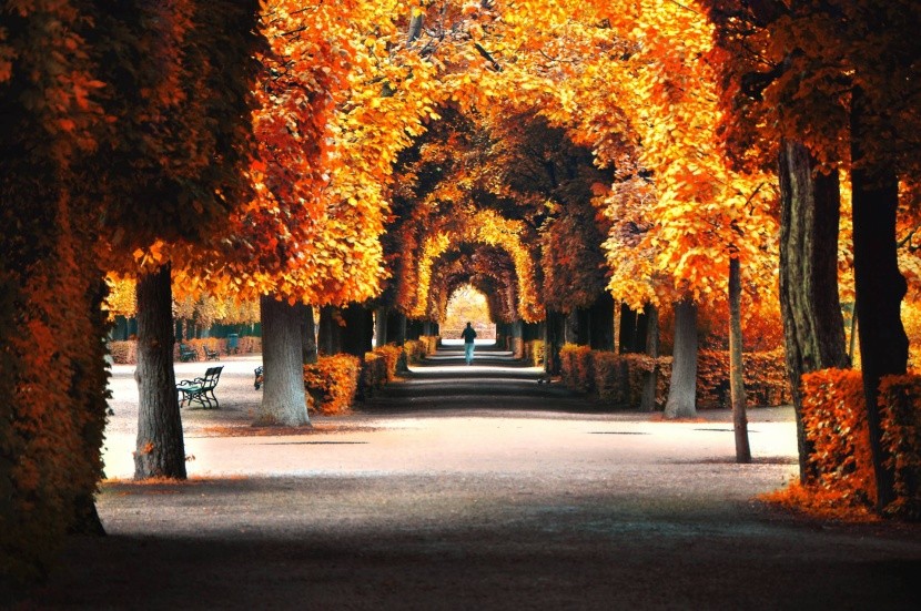 Podzimní Vídeň
