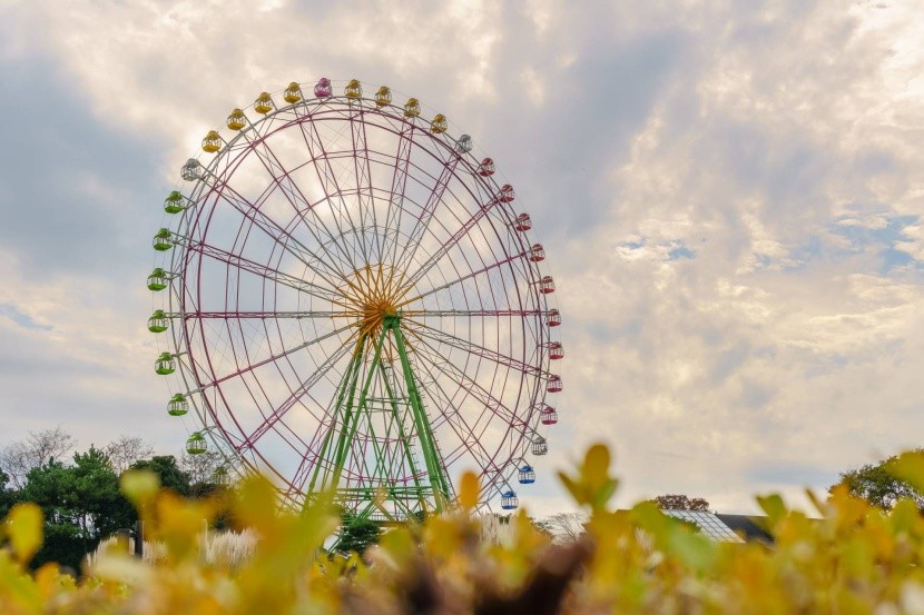 Giant Ferris Wheel