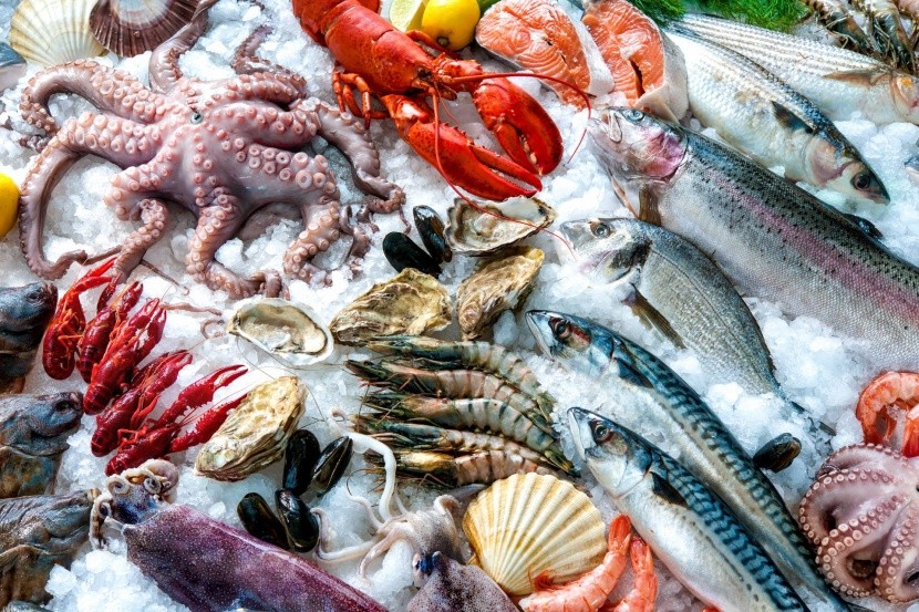 Rybí trh v Sydney