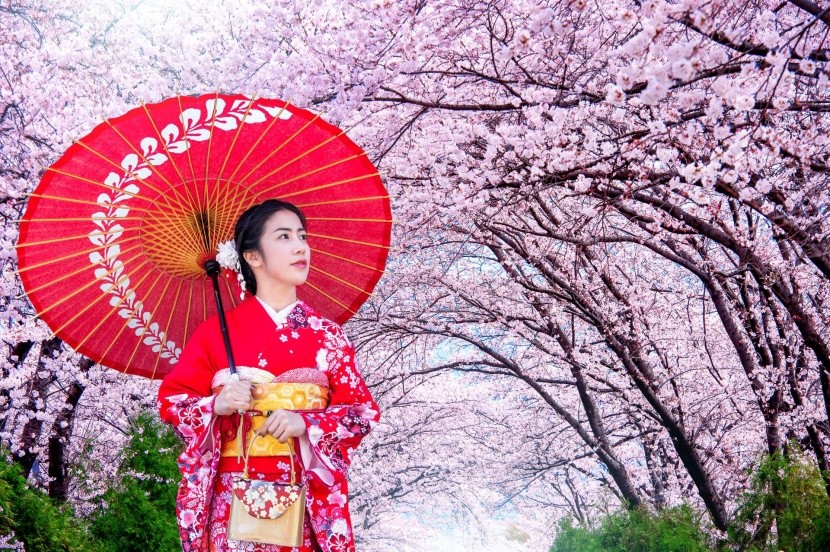 Japonci pohľad na kvitnúce Sakury milujú