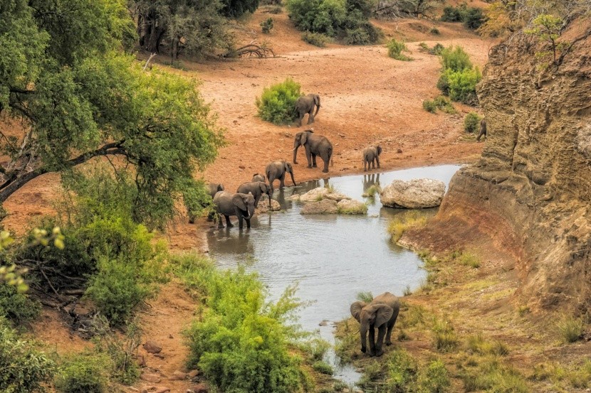 Krugerův národní park v Jihoafrické republice