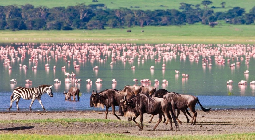 Kráter Ngorongoro v Tanzanii