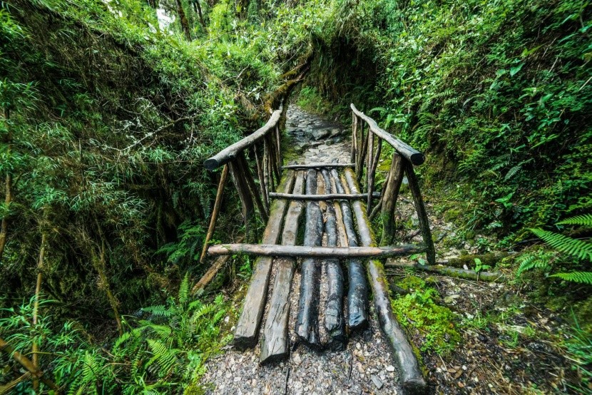 Cesta peruánským pralesem