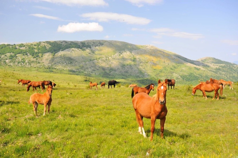 Národní park Pollino